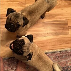 $10 or less items are 4/$20